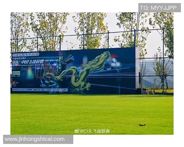 武汉飞盘队与西安飞盘队赛后战术分析与总结探讨